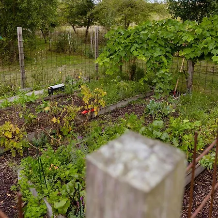 Lovely Summerhouse Surrounded By The Forest Nyaraló