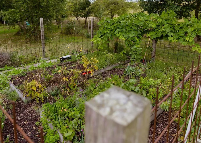 Lovely Summerhouse Surrounded By The Forest